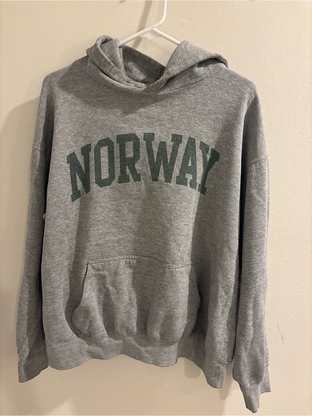 Brandy Melville John Galt Norway Hoodie